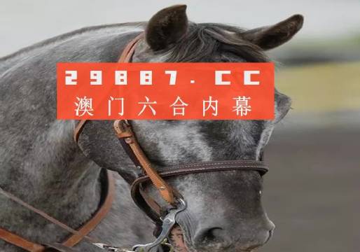 澳門一一碼一特一中準(zhǔn)選今晚，探索真實(shí)有效的選擇與策略，澳門今晚一特一中準(zhǔn)選碼，真實(shí)有效的選擇與策略探索