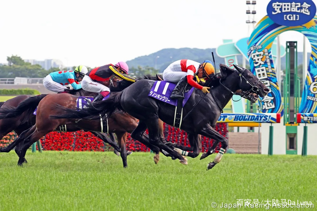香港王中王與一馬中特肖的獨特魅力，深度解析與探索，香港王中王與一馬中特肖的獨特魅力，深度探索與解析