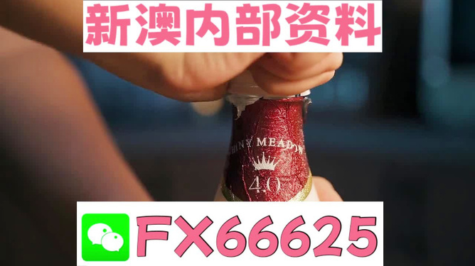 新澳門一碼一碼，揭秘精準(zhǔn)預(yù)測(cè)的秘密與真相，揭秘澳門一碼一碼精準(zhǔn)預(yù)測(cè)的秘密與真相
