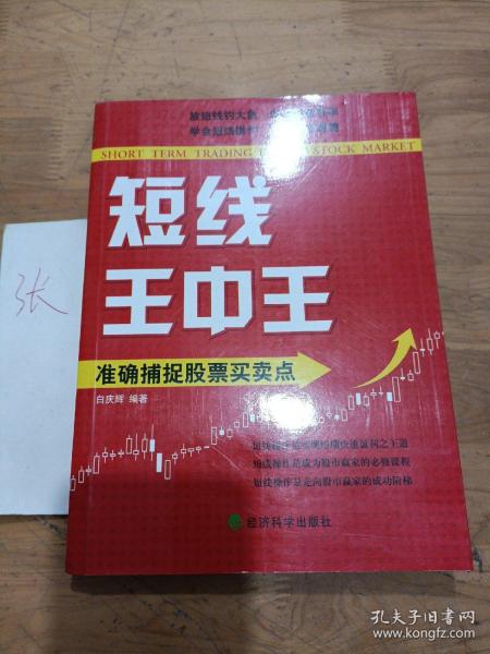 王中王平特一肖秀家網(wǎng)，深度解析與SEO優(yōu)化策略，王中王平特一肖秀家網(wǎng)，深度解析與SEO優(yōu)化策略指南