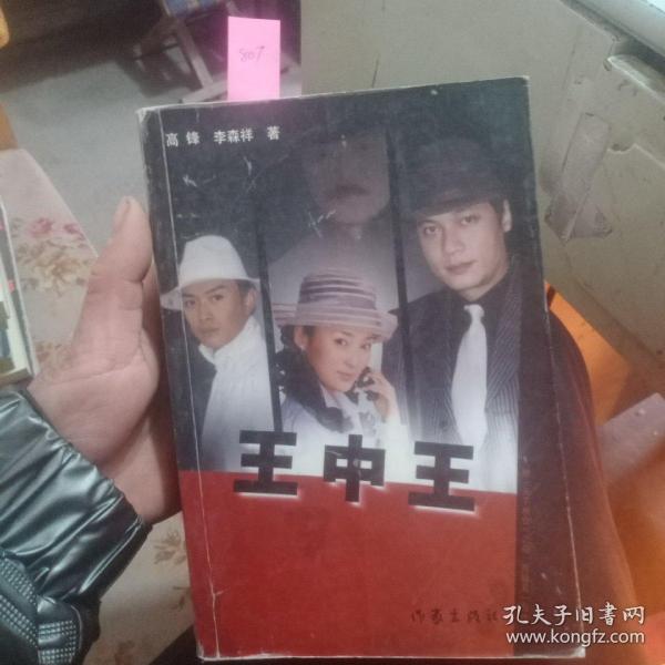 王中王資料一肖中天，深度解析與探索，王中王資料一肖中天，深度剖析與探索