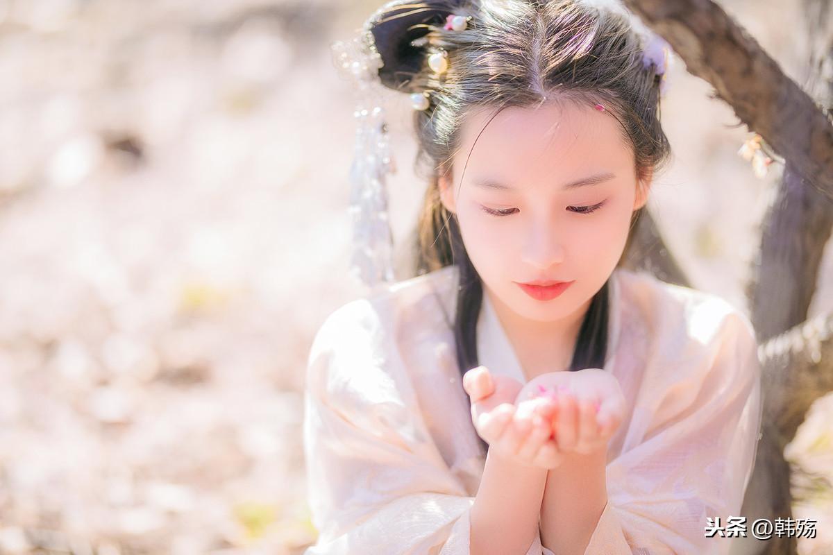 劉伯溫四不像圖特一肖，神秘預(yù)言與傳奇故事，劉伯溫四不像圖特一肖，神秘預(yù)言與傳奇探秘