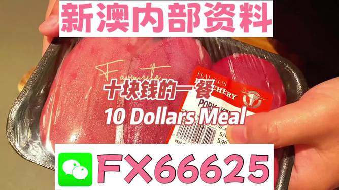 揭秘2025新澳精準資料免費大全——一站式獲取最新資源，揭秘2025新澳精準資料免費大全，最新資源一站式獲取