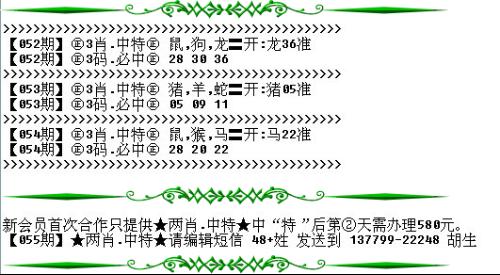 澳門必開一生一肖碼，揭秘背后的秘密與真相，澳門必開一生一肖碼揭秘內(nèi)幕與真相