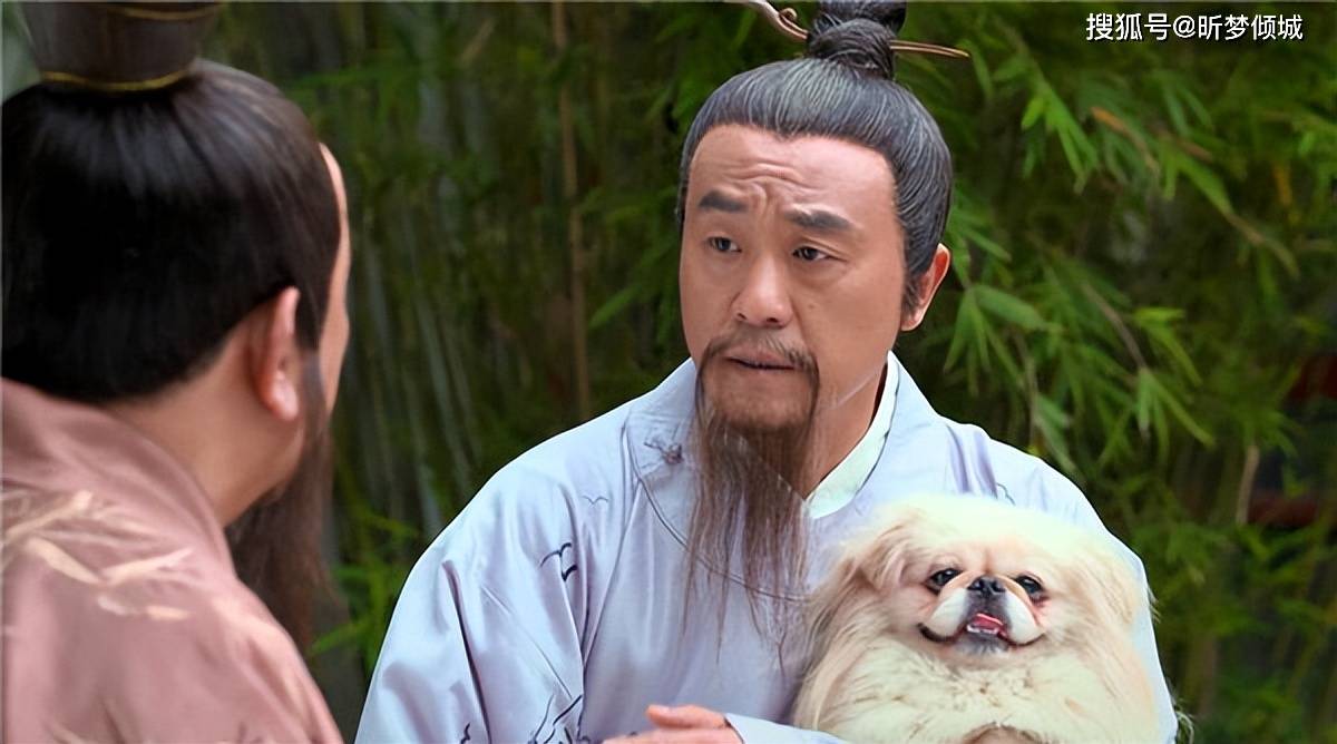 揭秘劉伯溫四不象一肖的神秘面紗——探尋背后的傳奇故事，揭秘劉伯溫四不象一肖背后的傳奇故事，神秘面紗下的神秘傳說