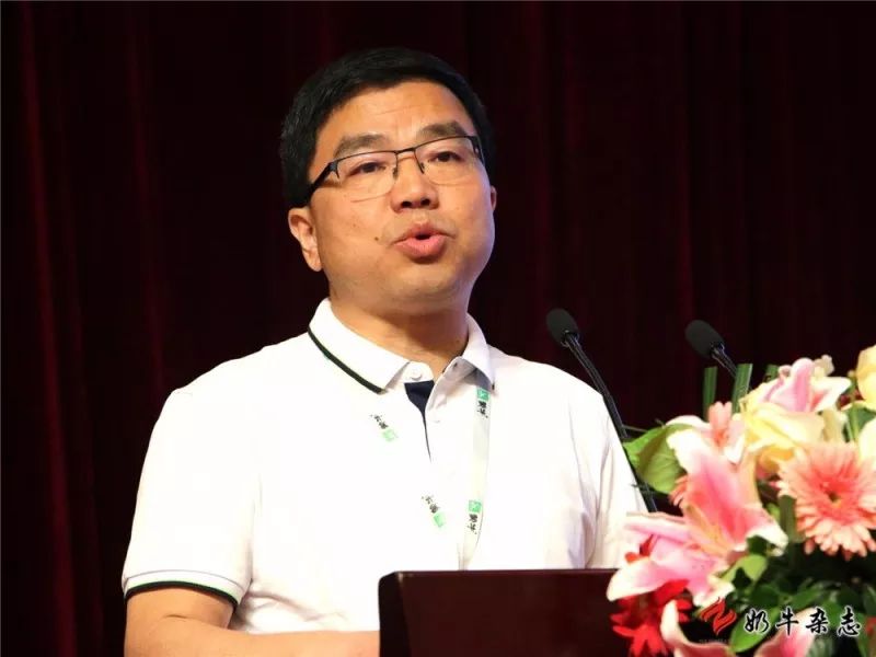 王中王一平特肖，揭秘第100期的秘密與策略，揭秘第100期秘密與策略，王中王一平特肖獨(dú)家解析