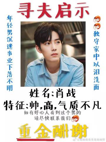 一肖一碼一一肖一子善，探尋命運(yùn)密碼與智慧之光的完美結(jié)合，命運(yùn)密碼與智慧之光，一肖一碼一一肖一子善的探尋
