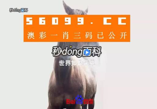 香港內部公開資料一碼，深度解析與探索，香港內部公開資料一碼深度解析與探索揭秘