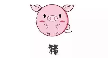 今晚一定出準確生肖預(yù)測，揭秘生肖運勢的秘密，揭秘生肖運勢秘密，今晚準確生肖預(yù)測揭曉！
