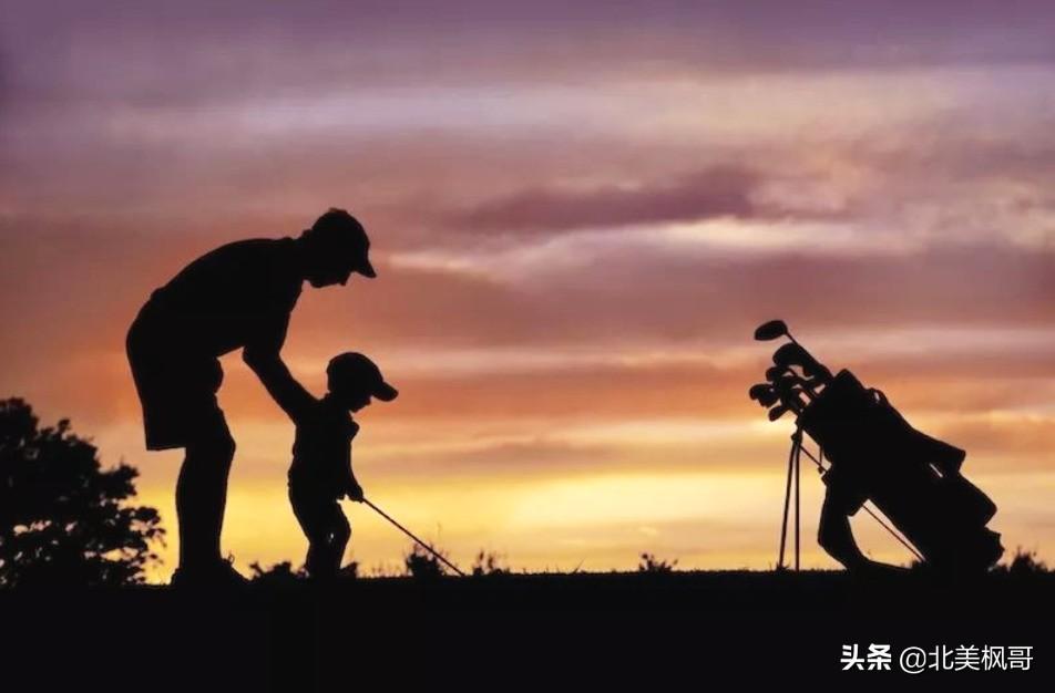 森林高手王中王與神秘生肖——深度解讀背后的故事與秘密，森林高手王中王與神秘生肖，故事背后的深度解讀與秘密探尋