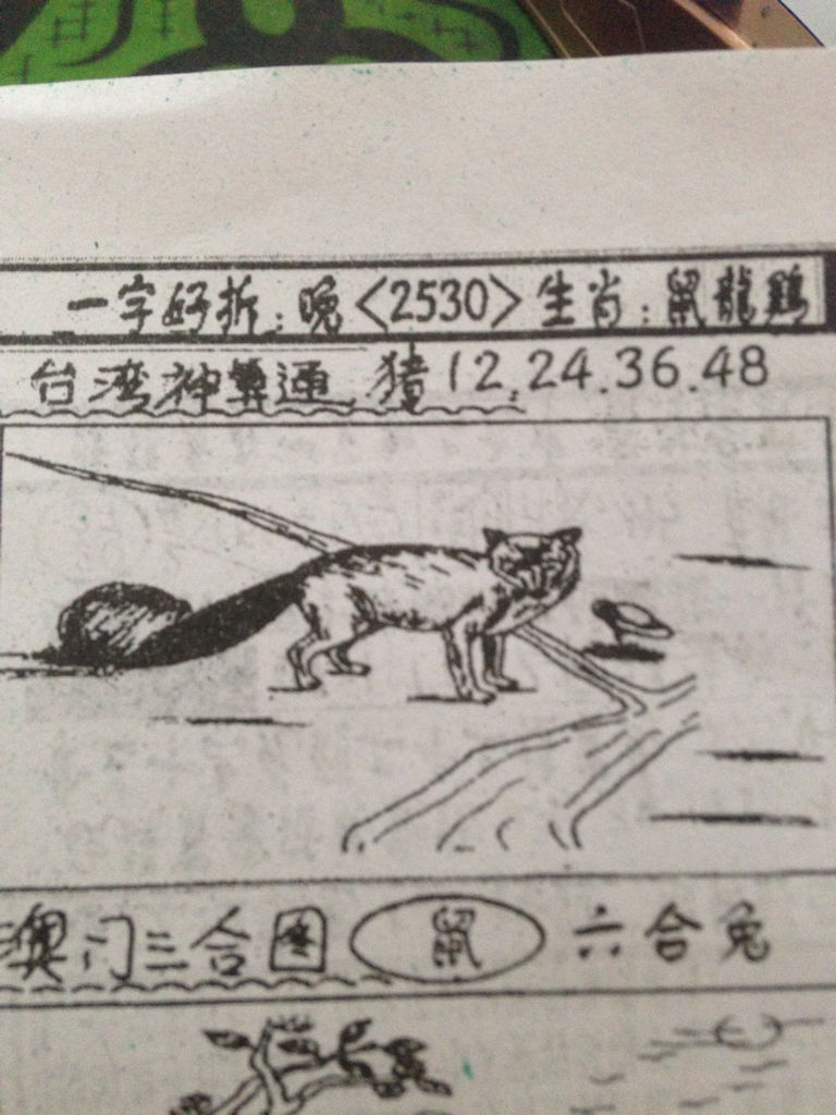 揭秘生肖奧秘，看圖猜一生肖劉伯溫的傳奇故事，揭秘生肖奧秘，劉伯溫傳奇故事中的生肖之謎探索