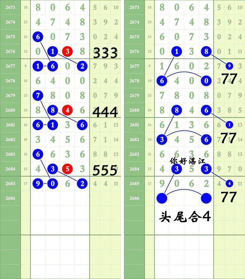 一肖三碼王中王絕密，揭秘背后的秘密與策略洞察，揭秘一肖三碼王中王絕密策略與背后秘密