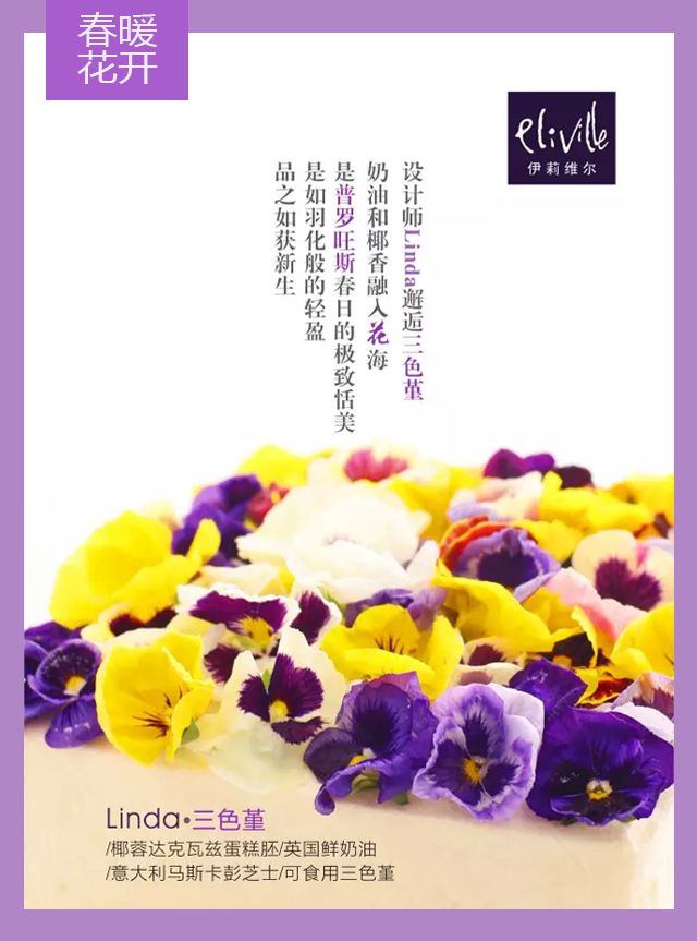 王中王339期指一生肖——探尋背后的秘密與玄機(jī)，探尋王中王339期生肖背后的秘密與玄機(jī)