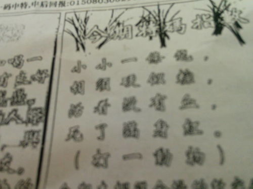 揭秘劉伯溫的一肖一特，探尋神秘傳奇背后的真相，劉伯溫傳奇揭秘，揭秘生肖之謎與獨(dú)特特質(zhì)背后的真相