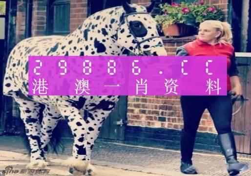 澳門王中王，揭秘一肖中特資料背后的秘密，澳門王中王揭秘，一肖中特資料背后的秘密傳奇