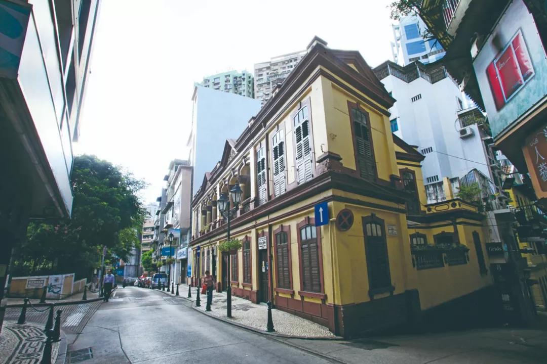 澳門今晚必開一肖，揭秘生肖運勢與預(yù)測邏輯，澳門今晚生肖預(yù)測揭秘，生肖運勢與預(yù)測邏輯分析