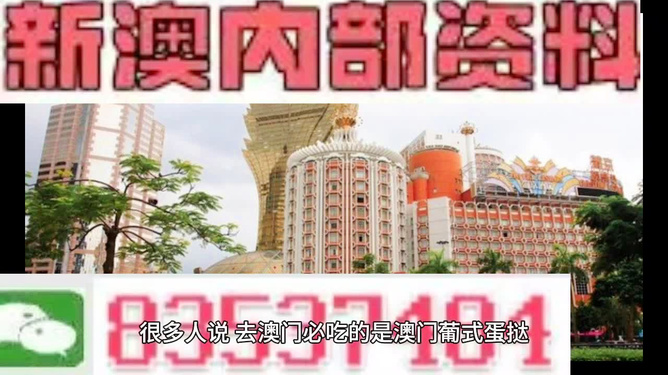 探索未來，2025年新澳門免費資料概覽，探索未來，2025新澳門免費資料概覽