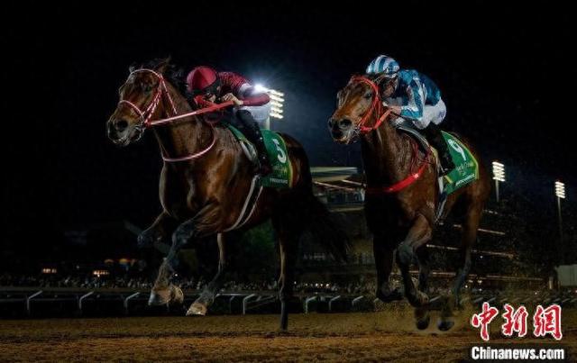 香港王中王一肖中特馬，探索背后的奧秘，香港王中王一肖中特馬背后的奧秘探索