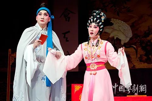 新澳門狀元紅中特網，探索與解析，澳門狀元紅中特網深度解析與探索