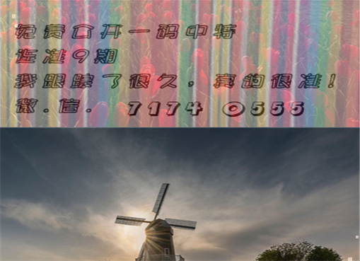 王中王四肖三期必出一期，揭秘彩票背后的秘密策略與技巧，揭秘彩票策略與技巧，王中王四肖三期必出一期之道