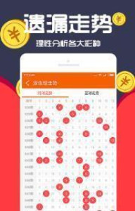 王中王一肖十，深度解析與SEO優(yōu)化策略，王中王一肖十深度解析與SEO優(yōu)化策略探討