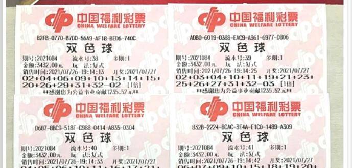 王中王084期指一生肖，解讀背后的秘密與生肖運(yùn)勢(shì)分析，王中王084期生肖揭秘，秘密解讀與運(yùn)勢(shì)展望