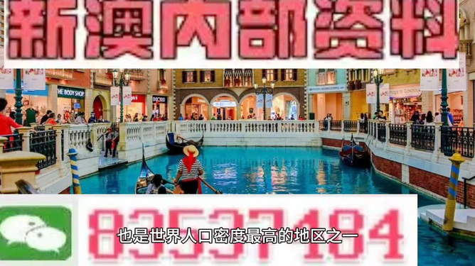 澳門王中王六碼新澳門，探索與解析，澳門王中王六碼新澳門，深度探索與解析
