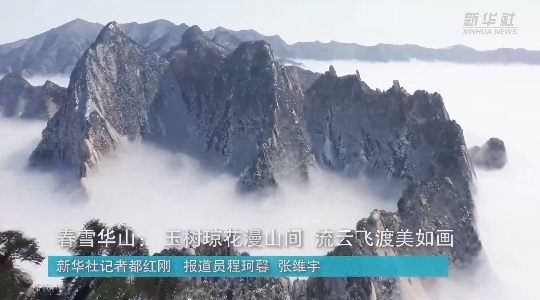 澳門最精準(zhǔn)龍門，探索真正的精準(zhǔn)之道，澳門最精準(zhǔn)龍門，揭秘真正的精準(zhǔn)之道