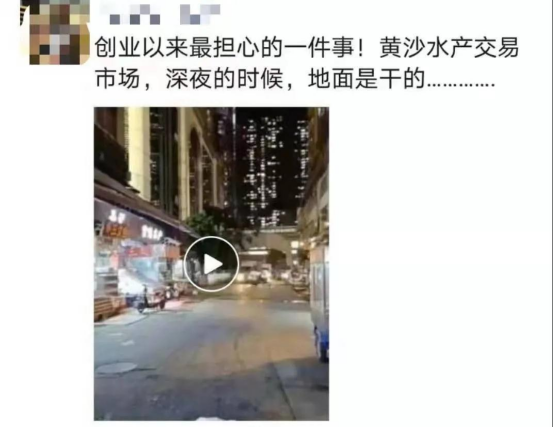 好料盡在王中王——揭秘生肖運勢的獨特魅力，揭秘生肖運勢獨特魅力，王中王好料大解密