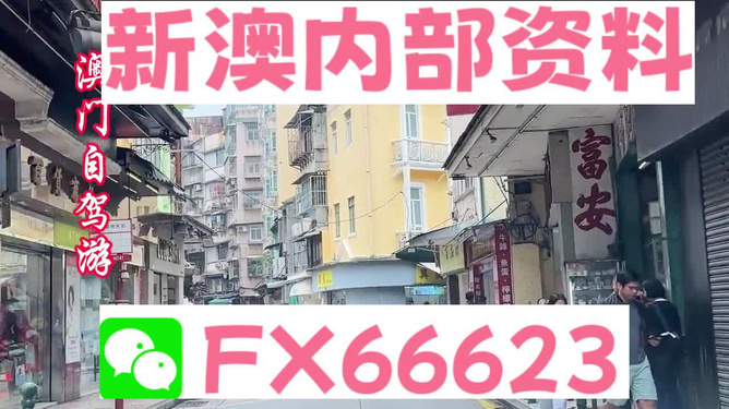新澳精準(zhǔn)資料免費(fèi)提供，探索與利用資源助力成功，新澳精準(zhǔn)資料免費(fèi)分享，助力成功探索與利用資源