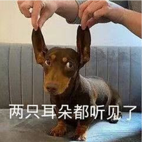 王中王四不象必中一肖，揭秘背后的秘密與策略，揭秘王中王四不象必中一肖背后的秘密與策略之道
