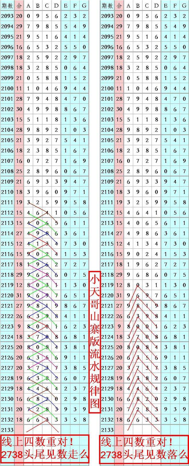王中王資料一肖正特馬，深度解析與探索，王中王資料一肖正特馬深度解析與探索揭秘