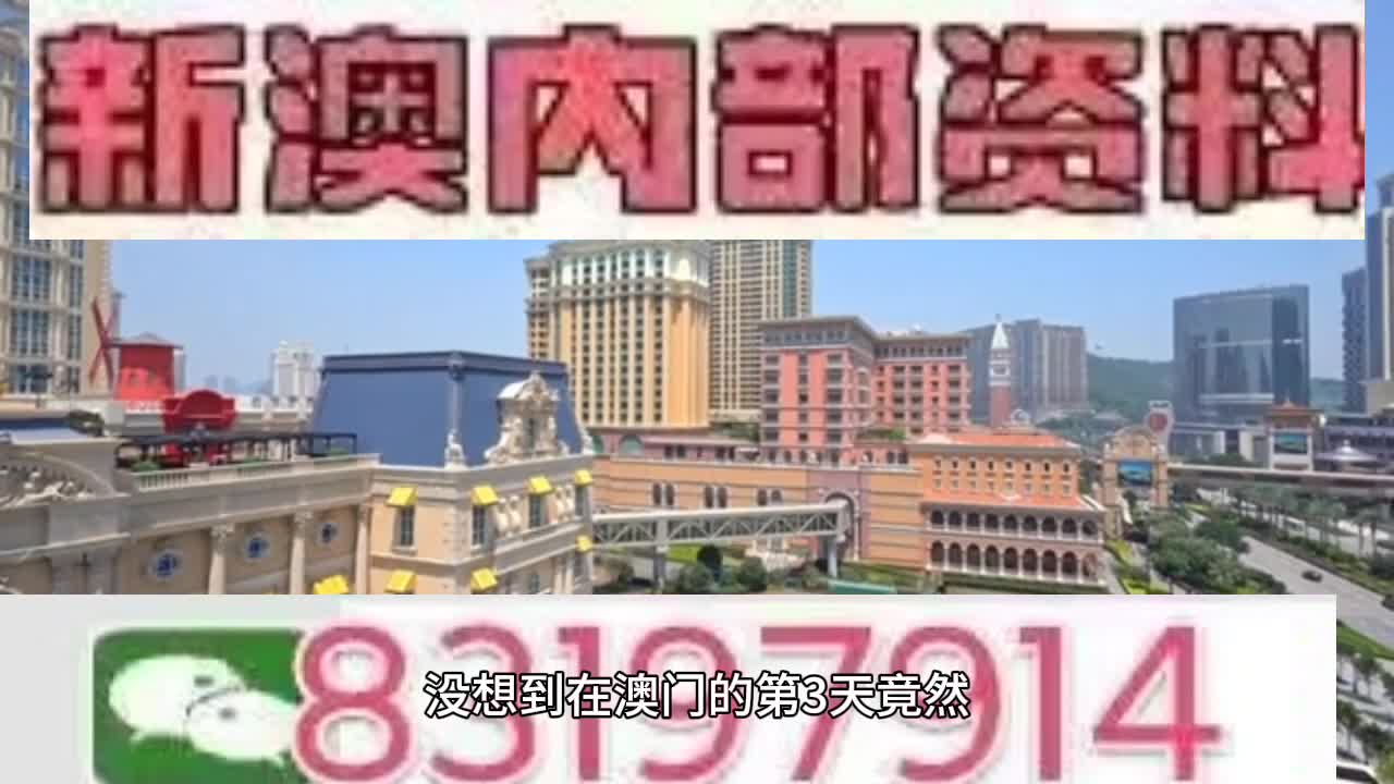 新澳門今晚必開一肖一特，探索生肖與特碼的魅力，澳門生肖特碼探索，今晚必開一肖一特之魅力