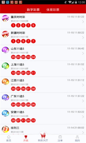 一碼一肖，揭秘背后的秘密與探索其獨(dú)特魅力，揭秘一碼一肖背后的秘密與獨(dú)特魅力探索