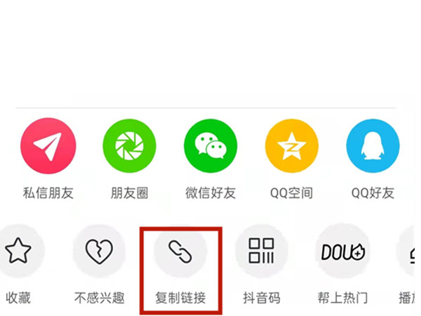 白小姐王中王中特一肖，神秘傳奇與SEO探索，神秘傳奇與SEO探索，白小姐王中王中特一肖的奧秘