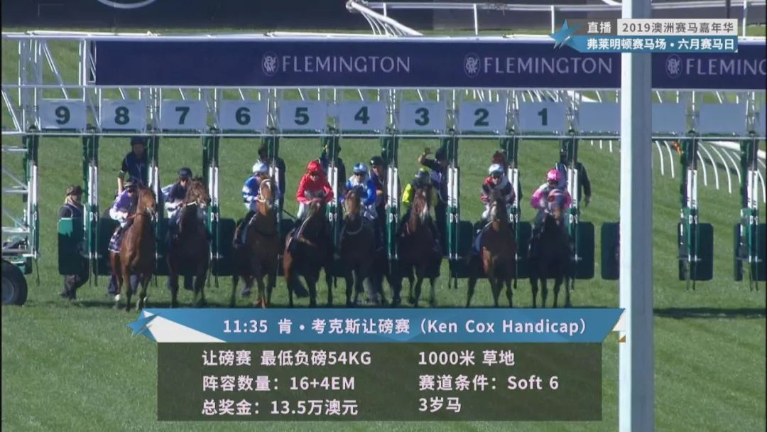 賽馬澳門六月開獎結(jié)果，探索與期待，澳門六月賽馬開獎揭曉，探索結(jié)果引期待