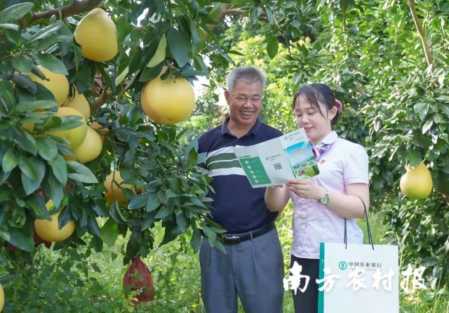 資料大全正版資料2025，一站式獲取所有你需要的信息，資料大全正版資料2025，一站式獲取所有信息總匯