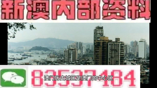 澳門三肖三碼精準預測之小馬哥傳奇，澳門三肖三碼精準預測，小馬哥傳奇揭秘