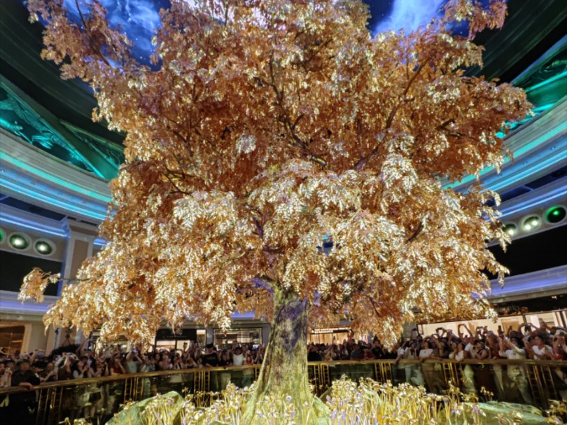澳門搖錢樹開獎(jiǎng)最快——探索彩票世界的神秘魅力，澳門搖錢樹彩票開獎(jiǎng)揭秘，探索神秘彩票世界的魅力