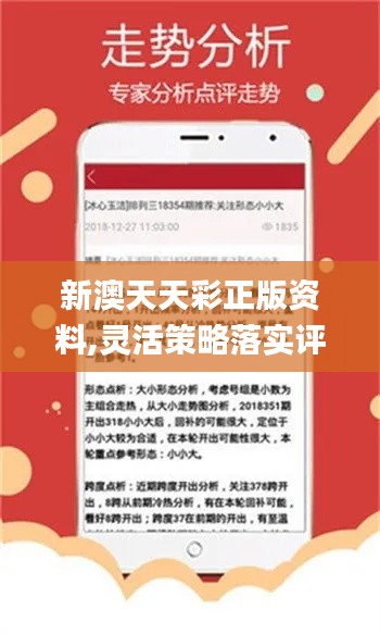 新澳天天開獎免費(fèi)資料——全面解析與攻略，新澳天天開獎免費(fèi)資料大全，全面解析與攻略分享