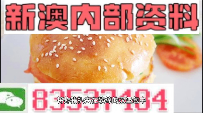 2025新澳正版資料精準(zhǔn)解析，2025新澳正版資料精準(zhǔn)解析手冊(cè)