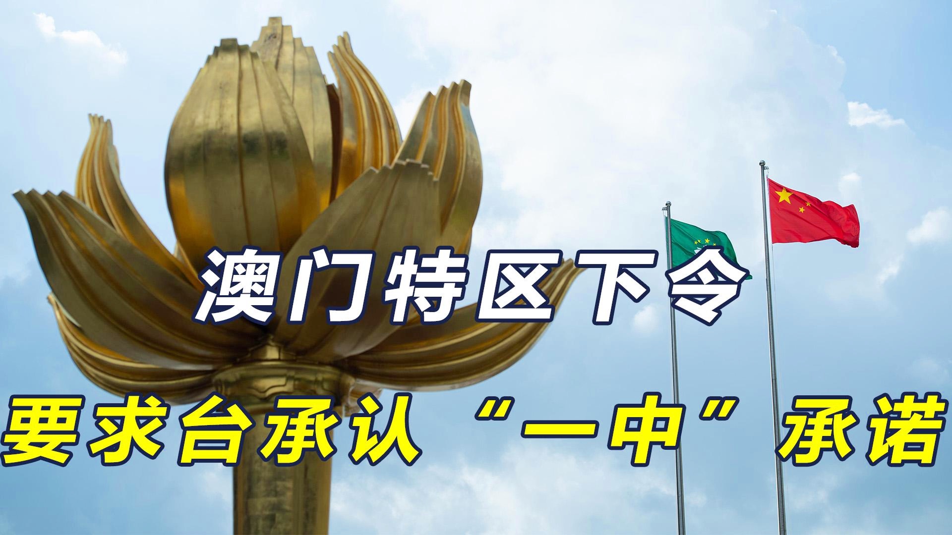 澳門一碼一肖一恃一中312期，揭秘與探索彩票文化背后的秘密，澳門彩票文化揭秘，一碼一肖背后的探索與奧秘