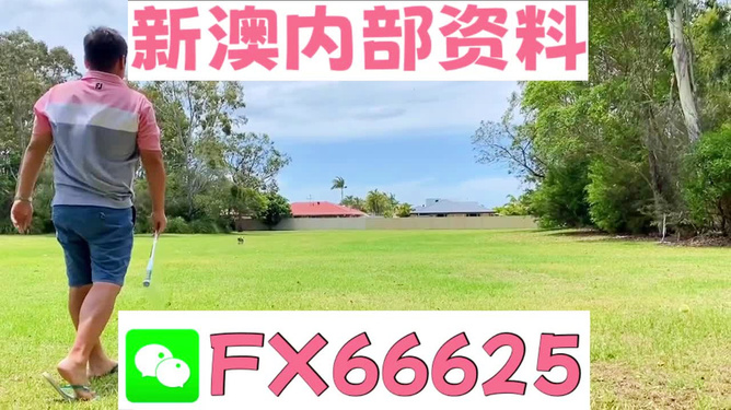 王中王一碼二肖，揭秘背后的秘密，揭秘王中王一碼二肖背后的秘密