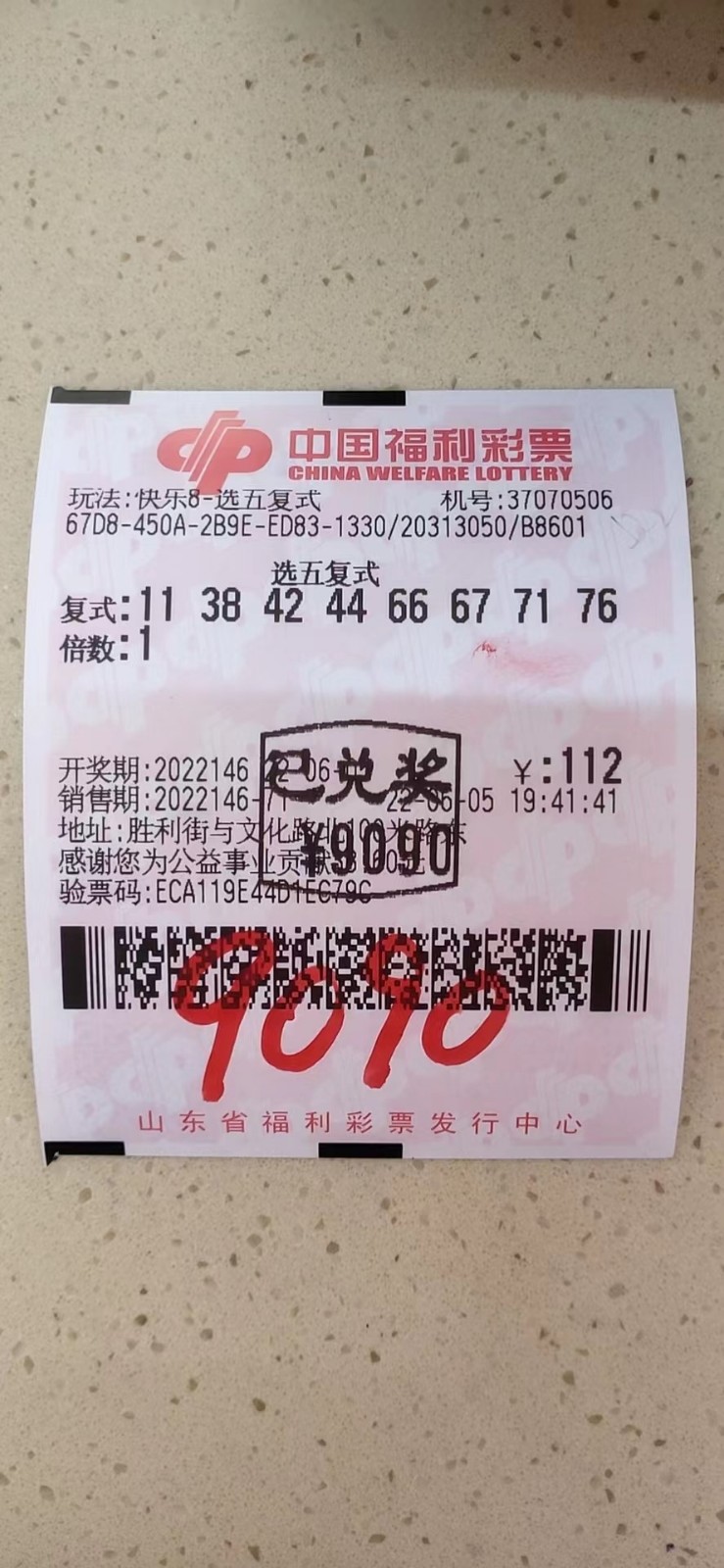 揭秘002期王中王平特一肖，背后的故事與奧秘，揭秘王中王平特一肖背后的故事與奧秘（第002期）