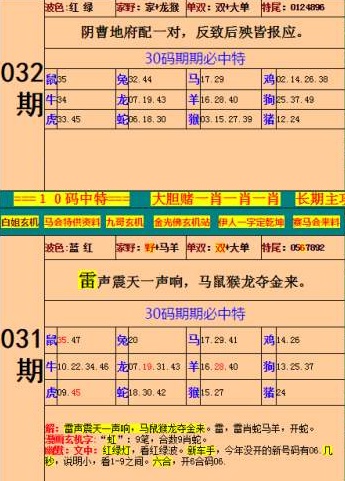 精準(zhǔn)預(yù)測/一肖預(yù)測