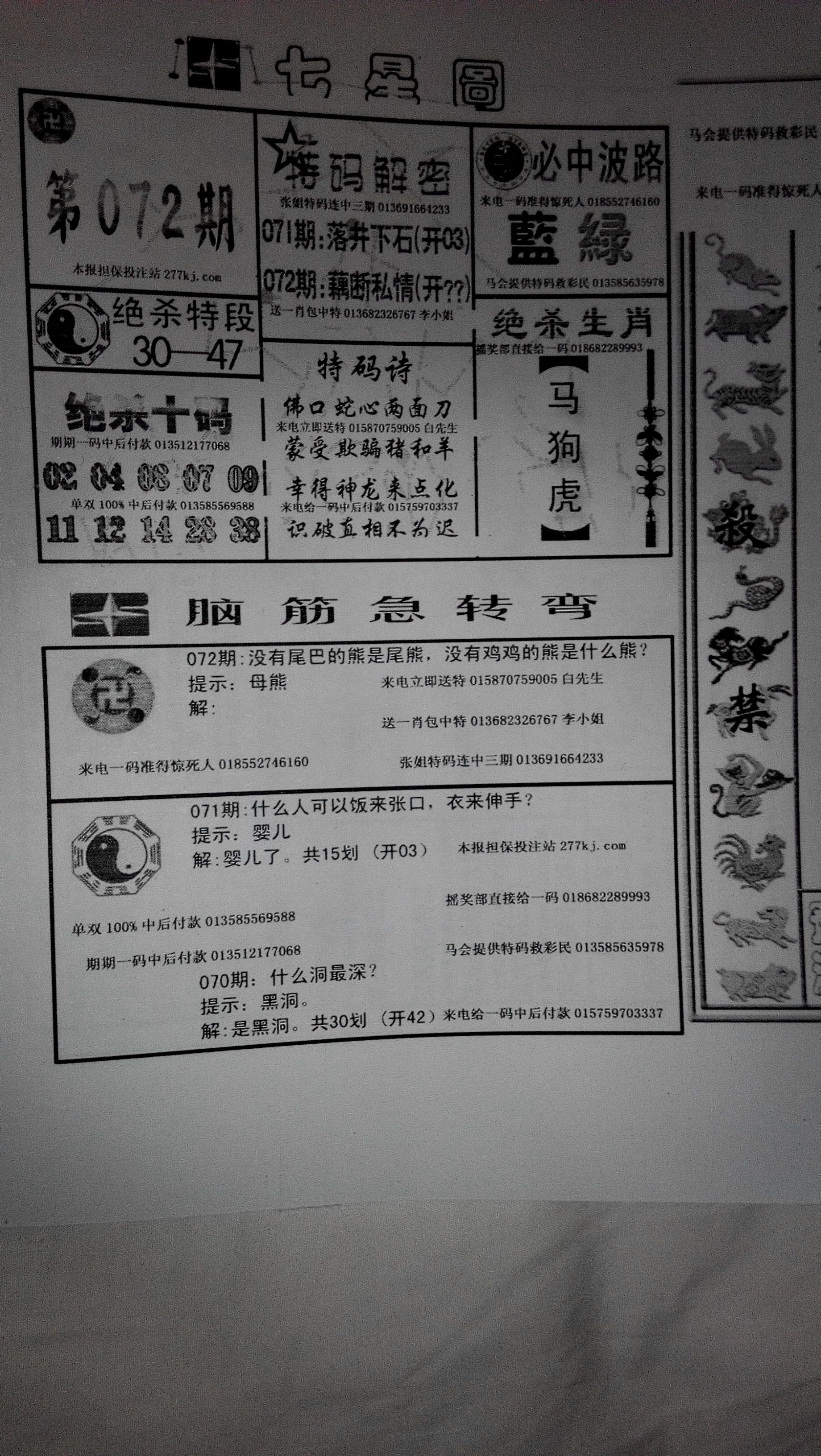 王中王211期指一生肖，深度解析與預(yù)測(cè)，王中王211期生肖深度解析與預(yù)測(cè)，揭秘未來(lái)走向