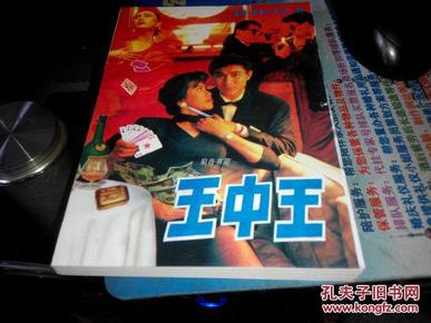 王中王資料一肖中特小說，深度解析與探索，王中王資料一肖中特小說的深度解析與探索之旅
