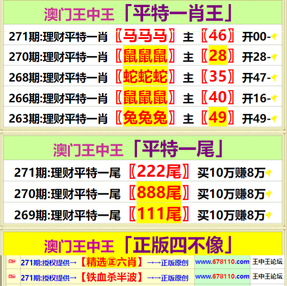 王中王四肖中特一期期誰(shuí)，深度解析與探索，王中王四肖中特一期深度解析與探索