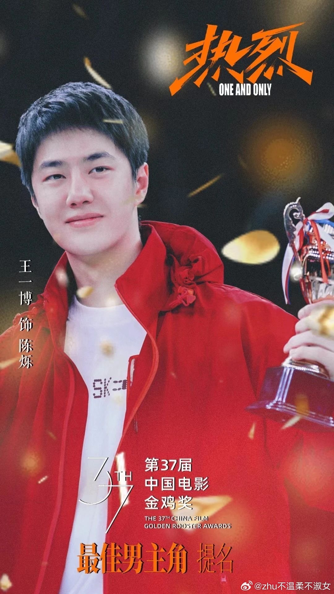 王中王一肖一特一中一中，探尋背后的故事與奧秘，探尋王中王一肖背后的故事與奧秘