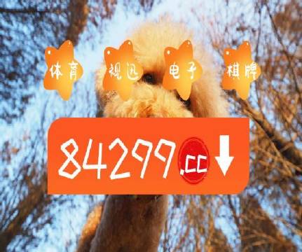澳門天天開彩好正版掛牌第168期，探索彩票的魅力與策略，澳門彩票探索，魅力與策略揭秘 第168期正版掛牌開彩體驗